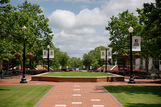 A walking path on campus